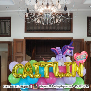 Birthday balloon decoration landscape package 1